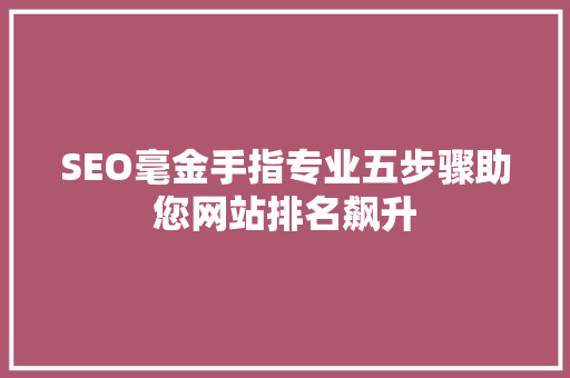 SEO毫金手指专业五步骤助您网站排名飙升