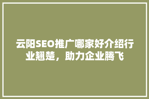 云阳SEO推广哪家好介绍行业翘楚，助力企业腾飞