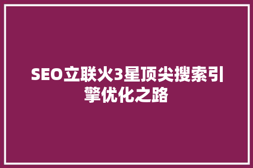 SEO立联火3星顶尖搜索引擎优化之路