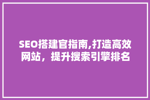SEO搭建官指南,打造高效网站，提升搜索引擎排名