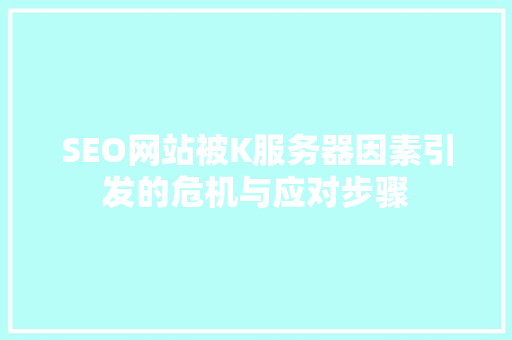 SEO网站被K服务器因素引发的危机与应对步骤