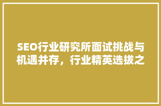 SEO行业研究所面试挑战与机遇并存，行业精英选拔之谜