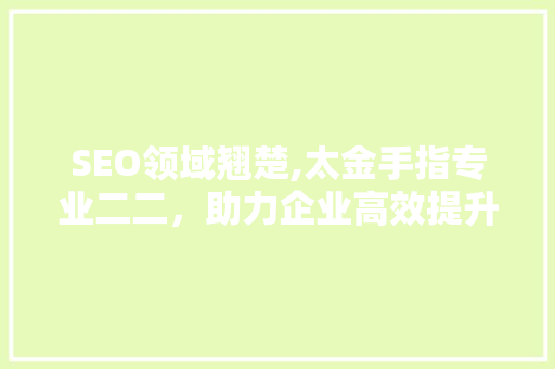 SEO领域翘楚,太金手指专业二二，助力企业高效提升网站排名