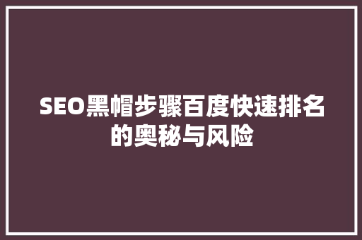 SEO黑帽步骤百度快速排名的奥秘与风险