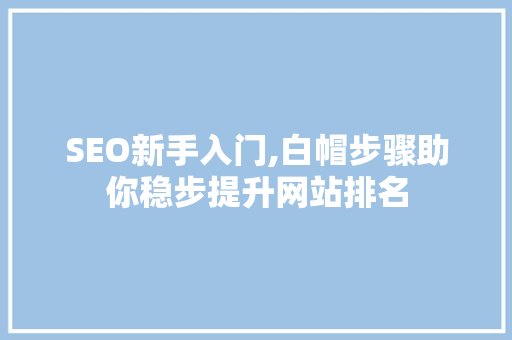 SEO新手入门,白帽步骤助你稳步提升网站排名