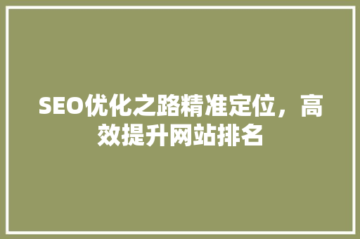 SEO优化之路精准定位，高效提升网站排名