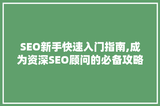 SEO新手快速入门指南,成为资深SEO顾问的必备攻略