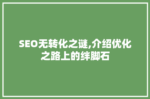 SEO无转化之谜,介绍优化之路上的绊脚石