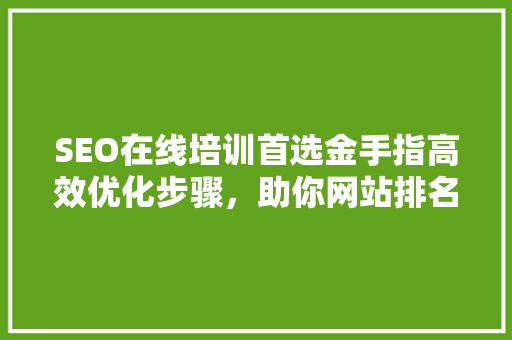 SEO在线培训首选金手指高效优化步骤，助你网站排名攀升