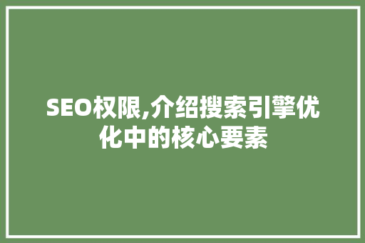 SEO权限,介绍搜索引擎优化中的核心要素