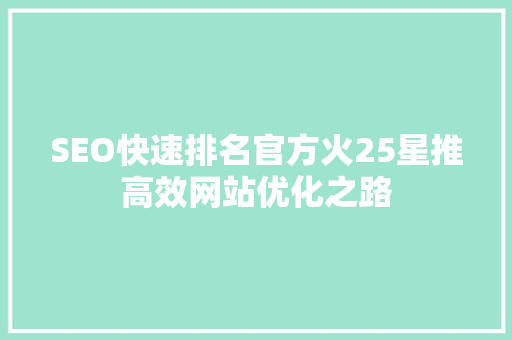 SEO快速排名官方火25星推高效网站优化之路