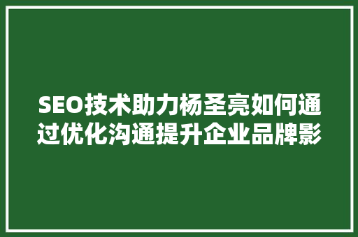 SEO技术助力杨圣亮如何通过优化沟通提升企业品牌影响力