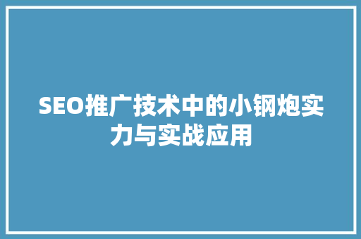 SEO推广技术中的小钢炮实力与实战应用