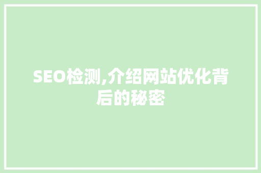 SEO检测,介绍网站优化背后的秘密