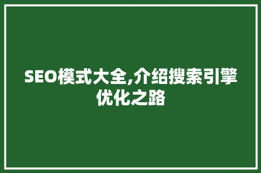 SEO模式大全,介绍搜索引擎优化之路