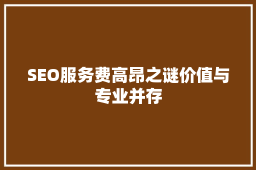 SEO服务费高昂之谜价值与专业并存