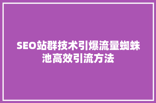 SEO站群技术引爆流量蜘蛛池高效引流方法
