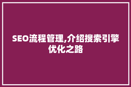 SEO流程管理,介绍搜索引擎优化之路