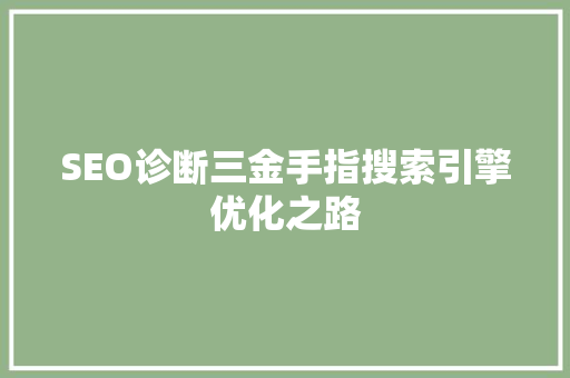 SEO诊断三金手指搜索引擎优化之路