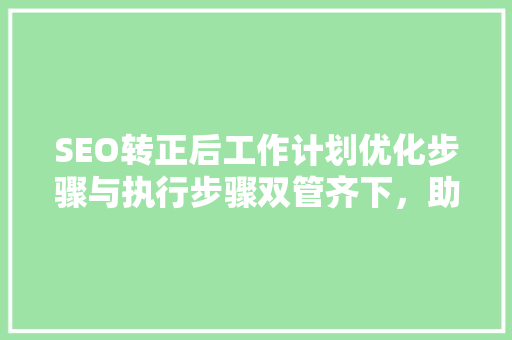 SEO转正后工作计划优化步骤与执行步骤双管齐下，助力企业腾飞