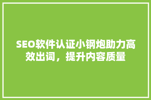 SEO软件认证小钢炮助力高效出词，提升内容质量