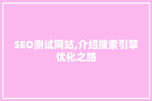 SEO测试网站,介绍搜索引擎优化之路