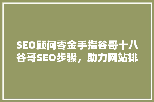 SEO顾问零金手指谷哥十八谷哥SEO步骤，助力网站排名提升