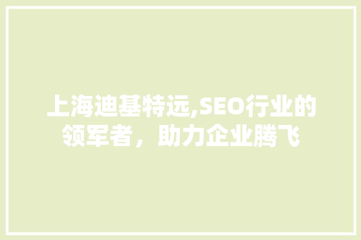 上海迪基特远,SEO行业的领军者，助力企业腾飞