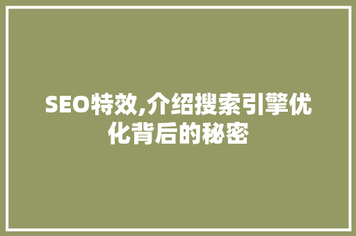 SEO特效,介绍搜索引擎优化背后的秘密