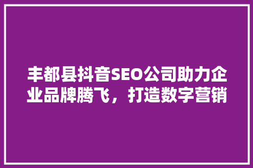 丰都县抖音SEO公司助力企业品牌腾飞，打造数字营销新格局
