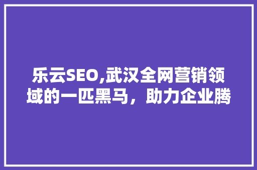 乐云SEO,武汉全网营销领域的一匹黑马，助力企业腾飞