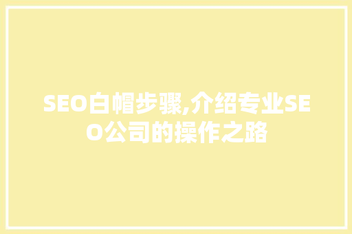 SEO白帽步骤,介绍专业SEO公司的操作之路  第1张