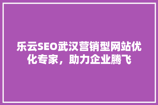 乐云SEO武汉营销型网站优化专家，助力企业腾飞