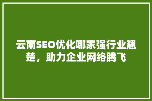 云南SEO优化哪家强行业翘楚，助力企业网络腾飞