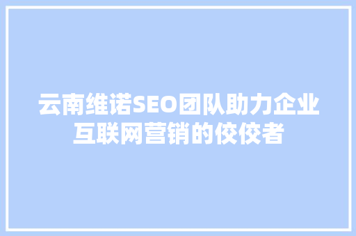 云南维诺SEO团队助力企业互联网营销的佼佼者
