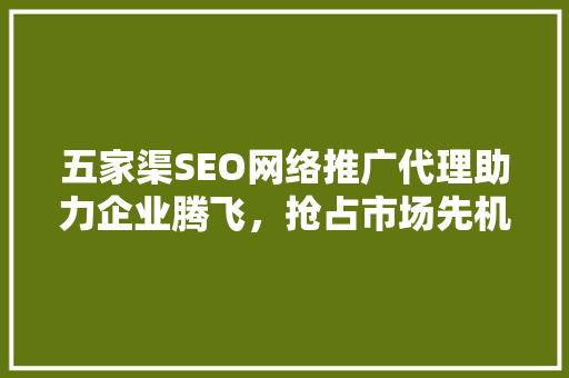五家渠SEO网络推广代理助力企业腾飞，抢占市场先机