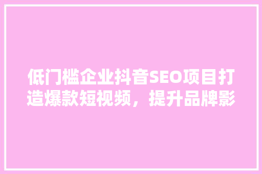 低门槛企业抖音SEO项目打造爆款短视频，提升品牌影响力