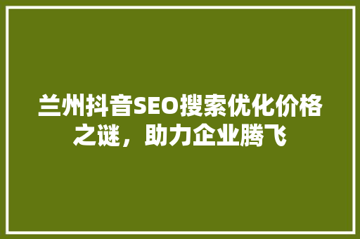 兰州抖音SEO搜索优化价格之谜，助力企业腾飞