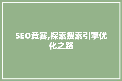 SEO竞赛,探索搜索引擎优化之路