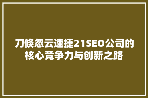 刀倏忽云速捷21SEO公司的核心竞争力与创新之路