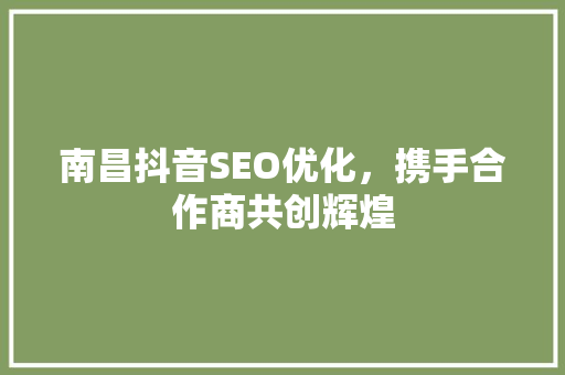 南昌抖音SEO优化，携手合作商共创辉煌