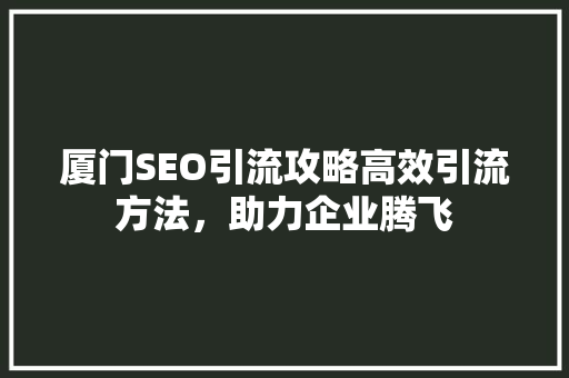 厦门SEO引流攻略高效引流方法，助力企业腾飞