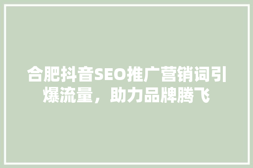 合肥抖音SEO推广营销词引爆流量，助力品牌腾飞