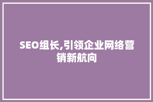 SEO组长,引领企业网络营销新航向