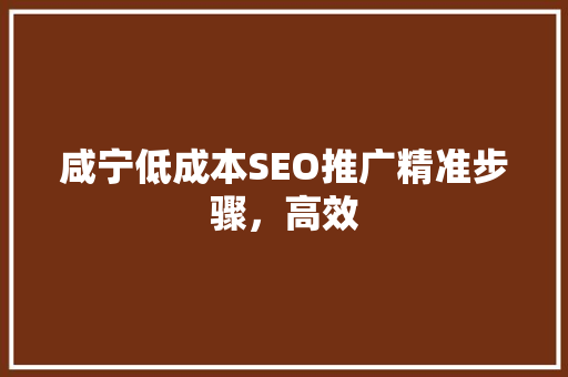 咸宁低成本SEO推广精准步骤，高效