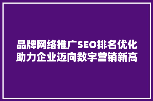 品牌网络推广SEO排名优化助力企业迈向数字营销新高度