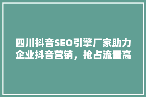 四川抖音SEO引擎厂家助力企业抖音营销，抢占流量高地