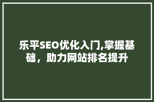 乐平SEO优化入门,掌握基础，助力网站排名提升