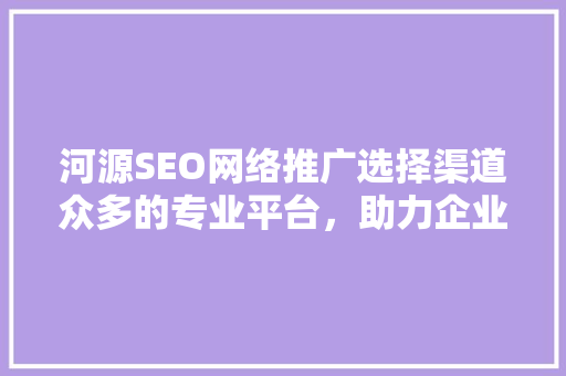 河源SEO网络推广选择渠道众多的专业平台，助力企业高效崛起