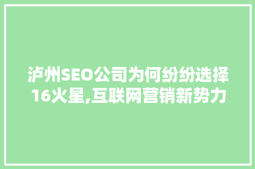 泸州SEO公司为何纷纷选择16火星,互联网营销新势力